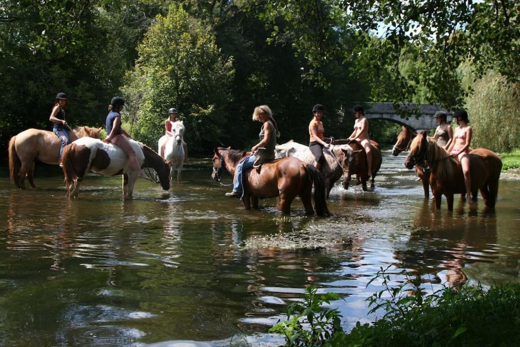 Serenite A La Ferme Equestre Lempzours Buitenkant foto